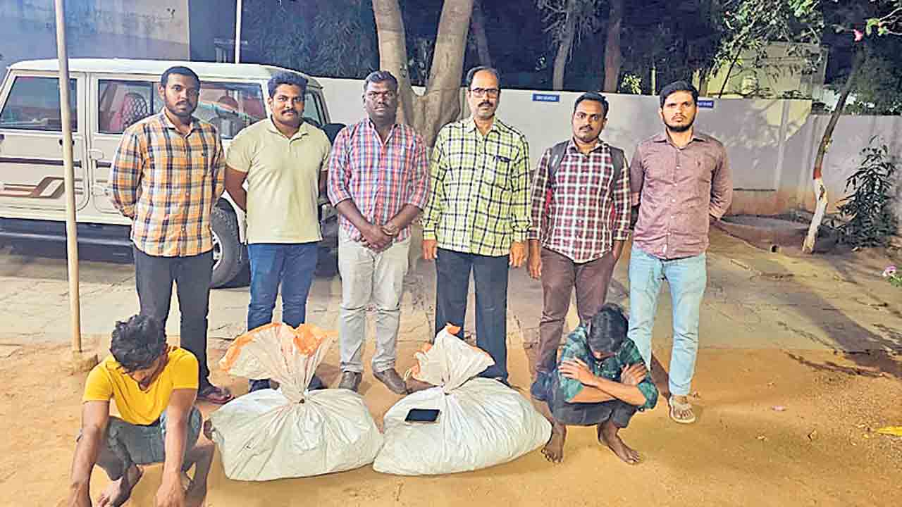 ఒడిశా కేంద్రంగా గంజాయి రవాణా..