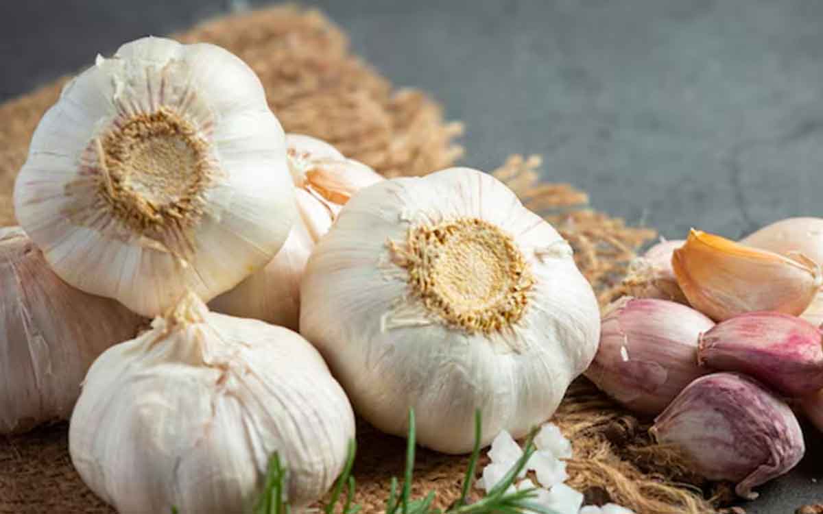Garlic | వెల్లుల్లి రెబ్బ‌ల‌ను ఈ రెండు స‌మ‌యాల్లో ఎప్పుడైనా తిన‌వ‌చ్చు.. అనేక వ్యాధుల నుంచి బ‌య‌ట ప‌డ‌వ‌చ్చు..!