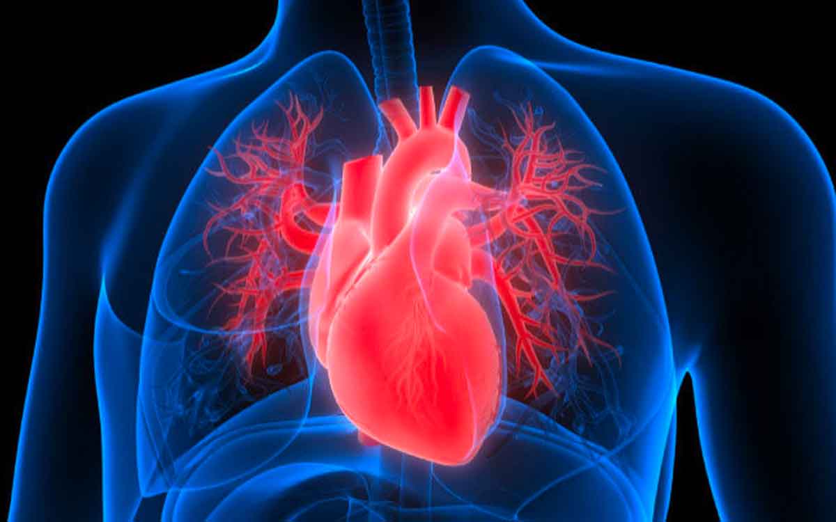 Heart Failure Symptoms | హార్ట్ ఫెయిల్ అవడానికి ముందు మ‌న శ‌రీరం తెలియ‌జేసే సంకేతాలు, ల‌క్ష‌ణాలు ఇవే..!