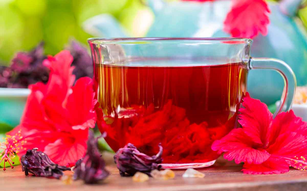 Hibiscus Flowers Tea | రోజూ టీ, కాఫీ అధికంగా తాగుతున్నారా..? వాటికి బ‌దులుగా దీన్ని తాగండి, ఎంతో మేలు జ‌రుగుతుంది..!