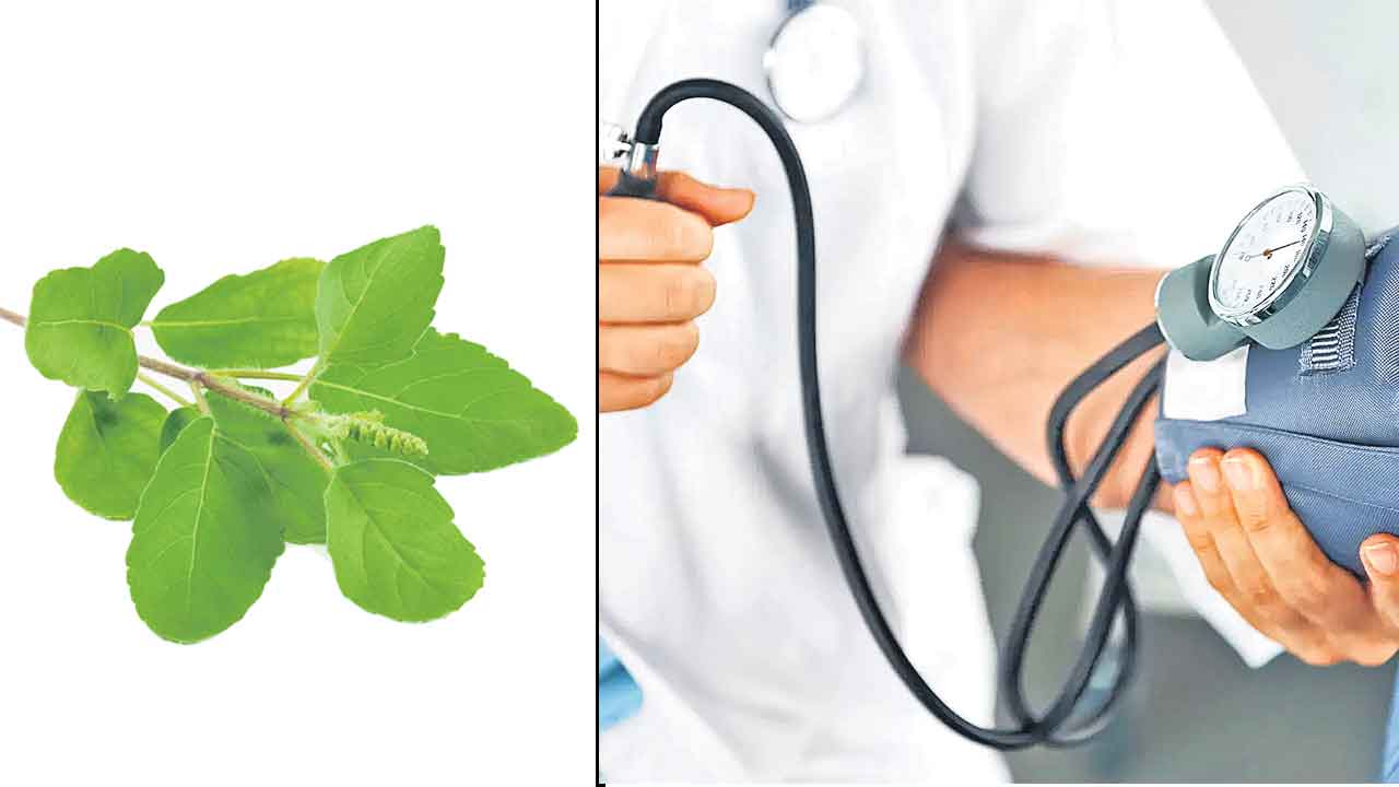 Blood Pressure | అధిక రక్తపోటుకు ఆయుర్వేదంతో చెక్‌!