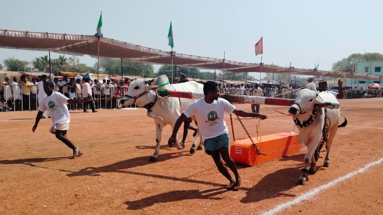 ఉల్లాసంగా.. ఉత్సహంగా అంత‌ర్ రాష్ట్ర‌ పశుబల ప్రదర్శన పోటీలు