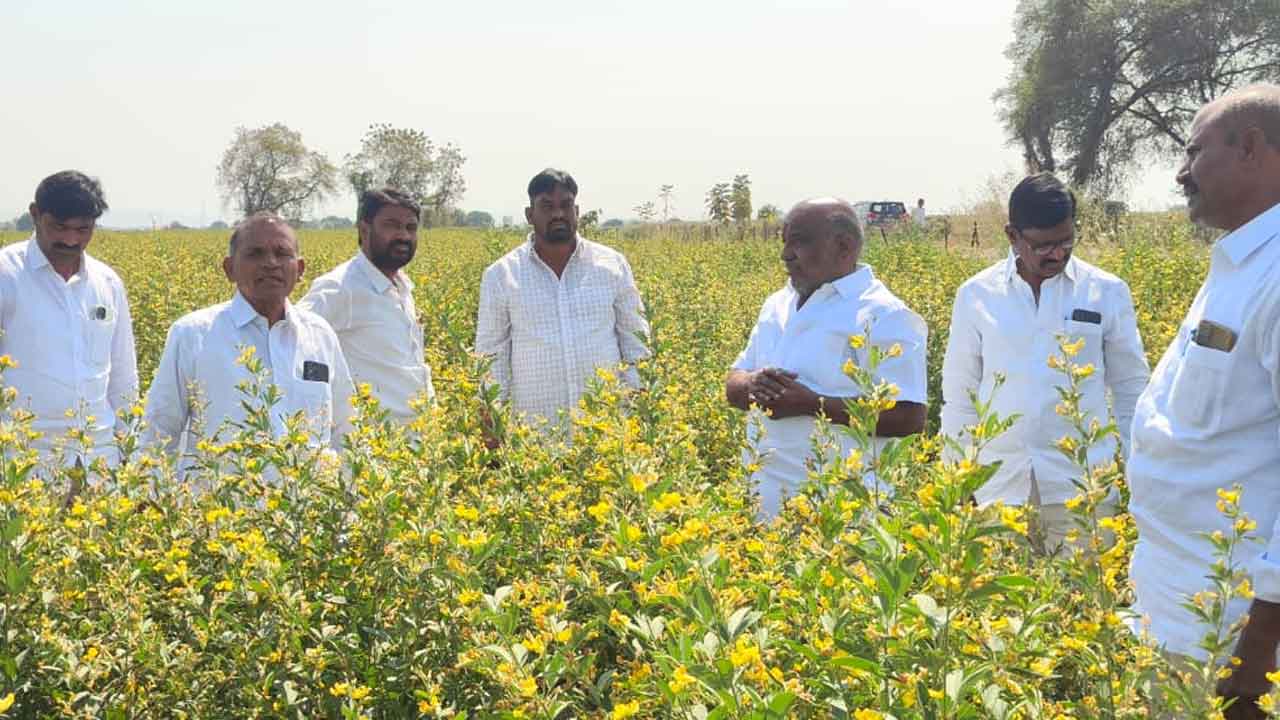 Jogu Ramanna | పంటల సాగులో రైతులు జాగ్రత్తలు తీసుకోవాలి : మాజీ మంత్రి జోగు రామన్న
