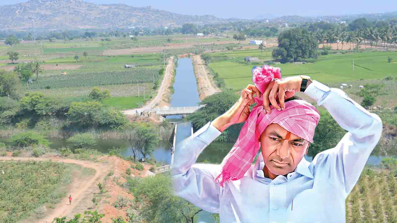 బీడు భూములు.. సస్యశ్యామలం