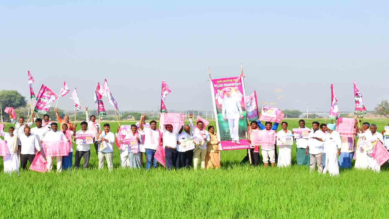 పచ్చని పొలాల్లో తెలంగాణ జాతిపిత కేసీఆర్‌ జన్మదిన వేడుకలు