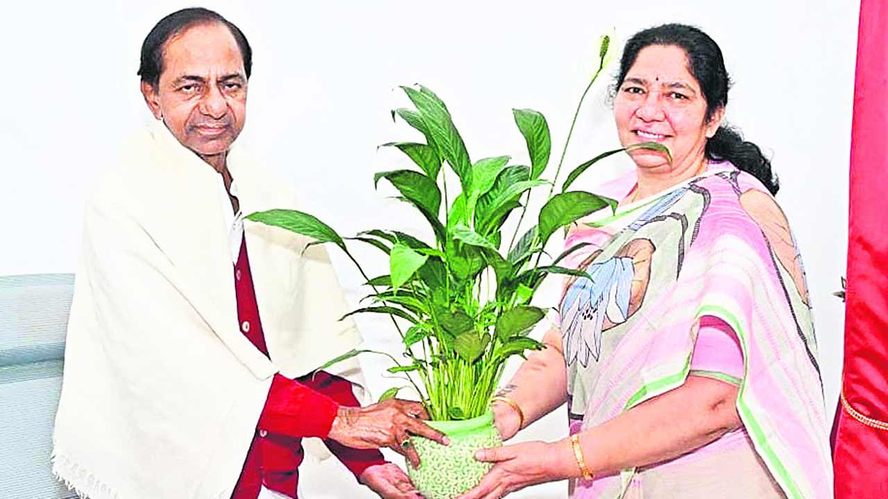 మండలి విప్‌గా సత్యవతి రాథోడ్‌