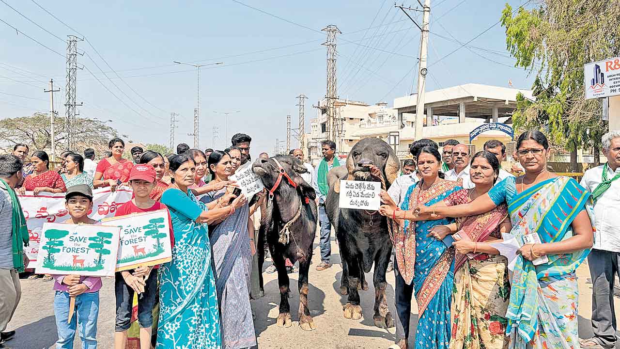 దున్నపోతులతో నిరసన