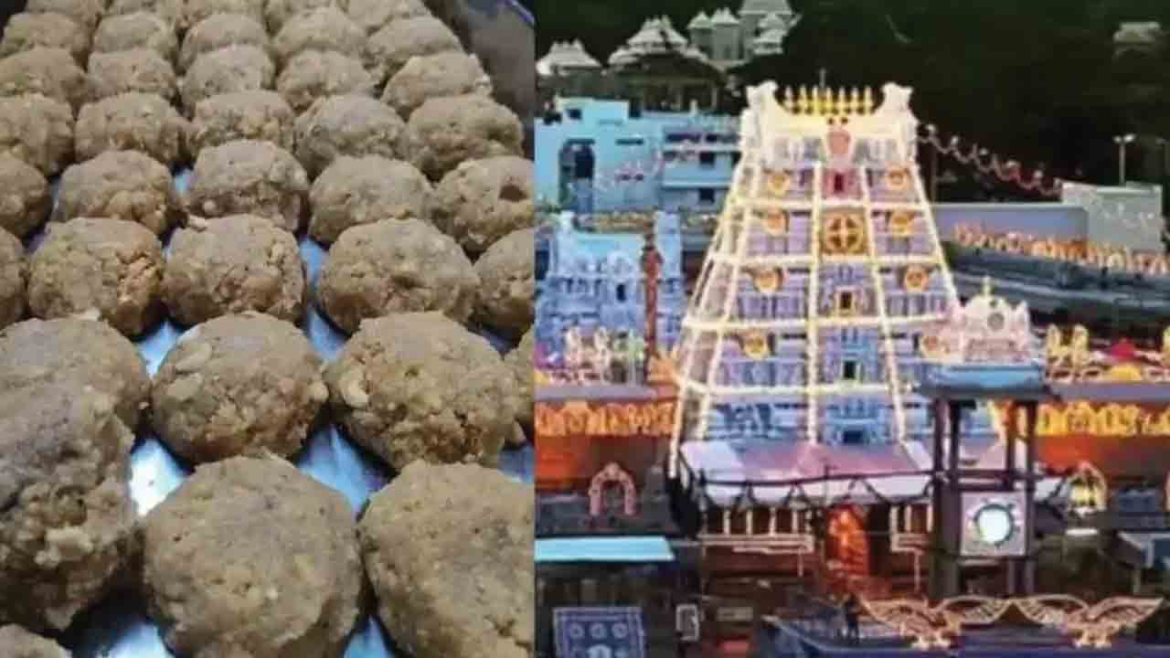 నెయ్యిలో రసాయనాలు కలిపాం