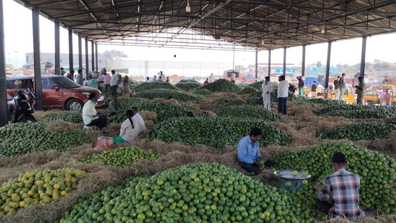 Batasingaram Fruit Market | మామిడి సీజన్‌కు రెడీ అయిన బాటసింగారం మార్కెట్‌.. లక్ష టన్నుల అమ్మకాలు జరగొచ్చని అంచనా