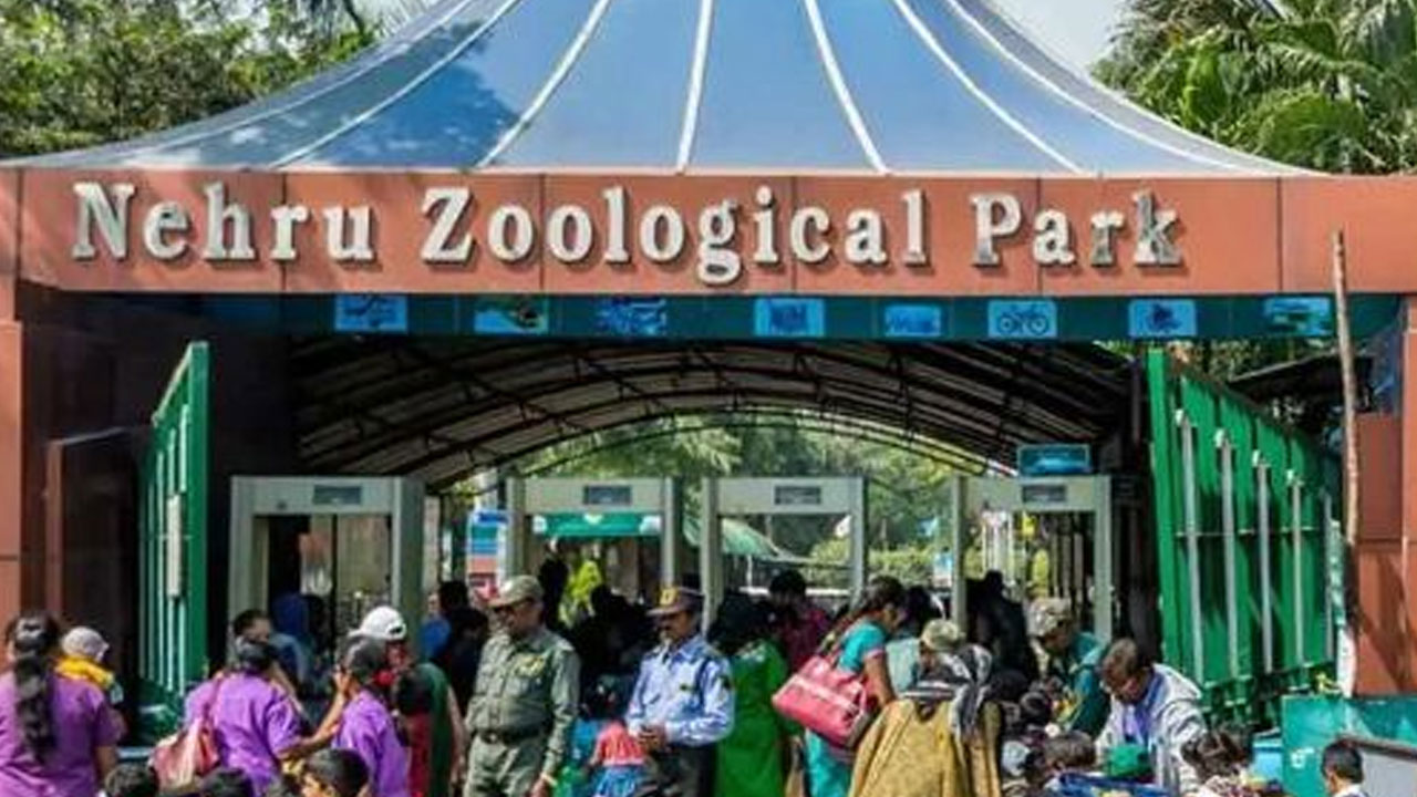 Nehru Zoological Park | హైదరాబాద్‌ నగరవాసులకు అలర్ట్.. రేపు జూపార్క్‌కు నో హాలీ డే