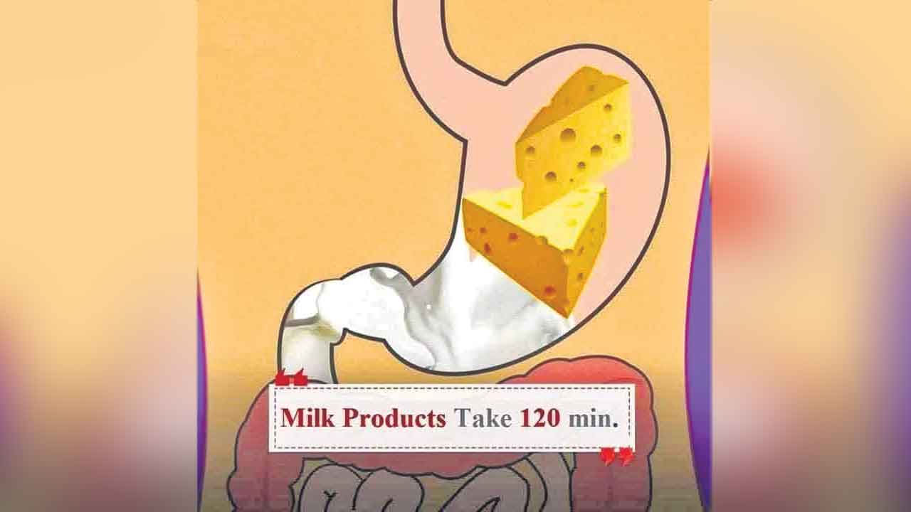 Milk Products