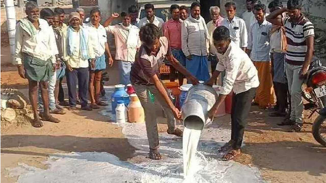 యాచారంలో పాలు పారబోసి పాడి రైతుల నిరసన