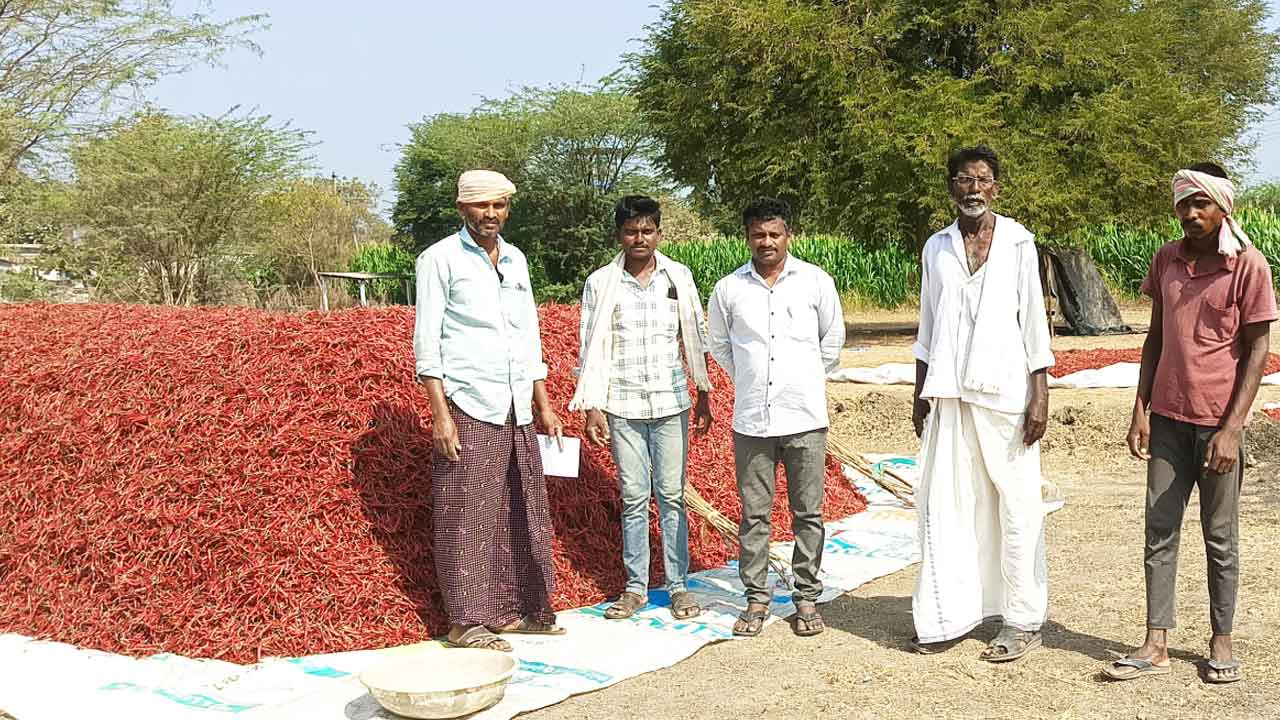 Chilli Board | ఖమ్మంలో మిర్చి బోర్డు ఏర్పాటు చేయాలి : మందా సైదులు