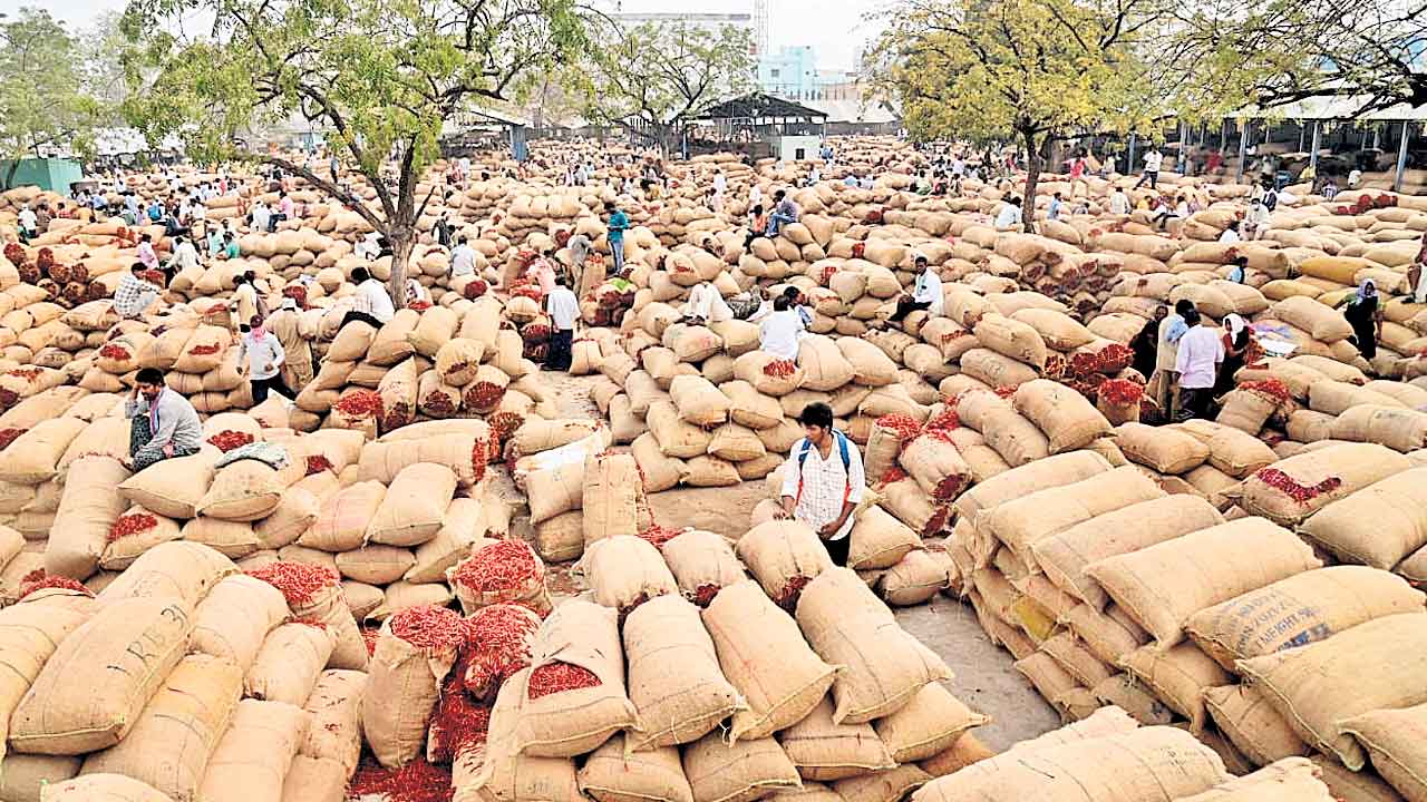 Telangana | పంటలు కొనండి మహాప్రభో..? అత్యంత దయనీయంగా వేరుశనగ, మిర్చి రైతుల పరిస్థితి