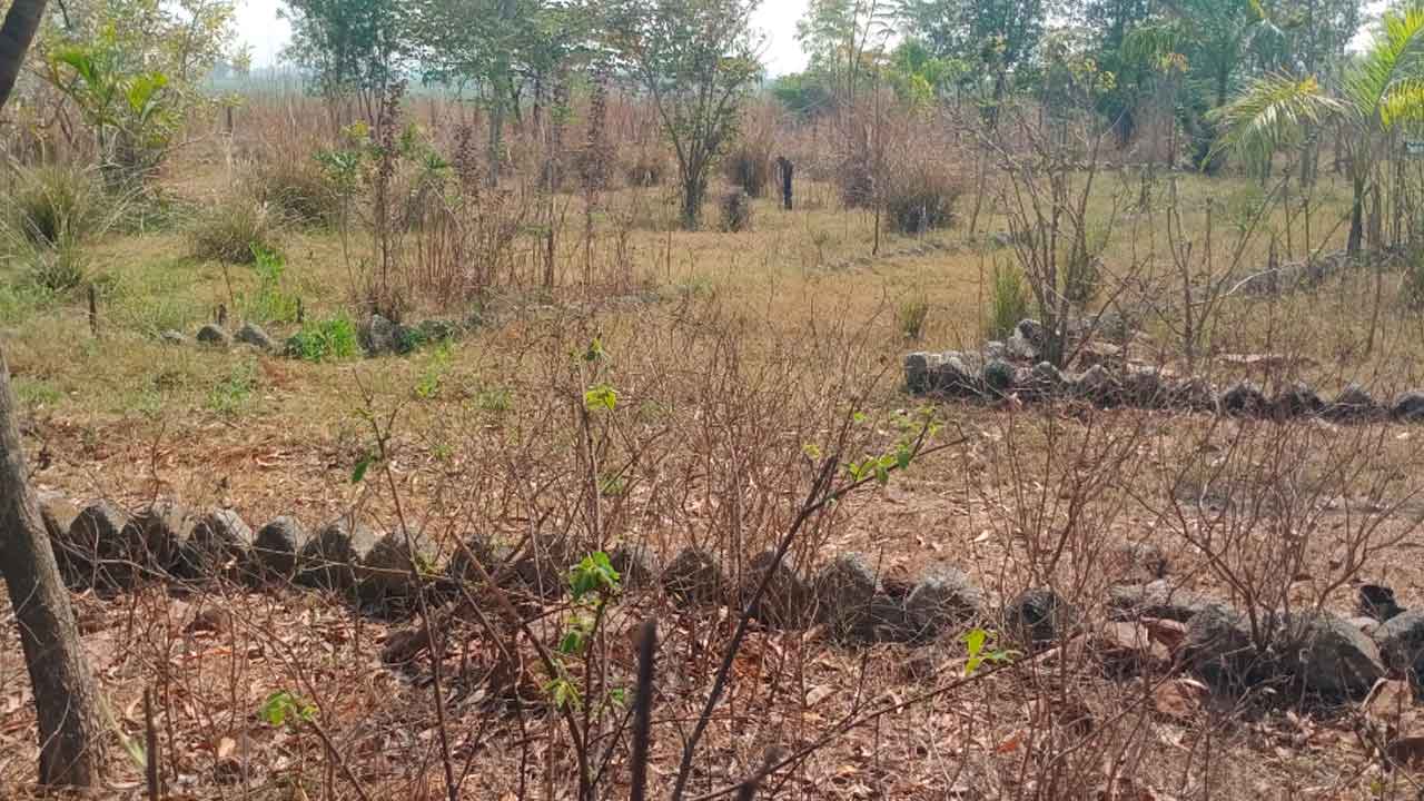 Nallabelli | అధికారుల పాలనతో గ్రామాలు అస్తవ్యస్తం.. పడకేసిన అభివృద్ధి