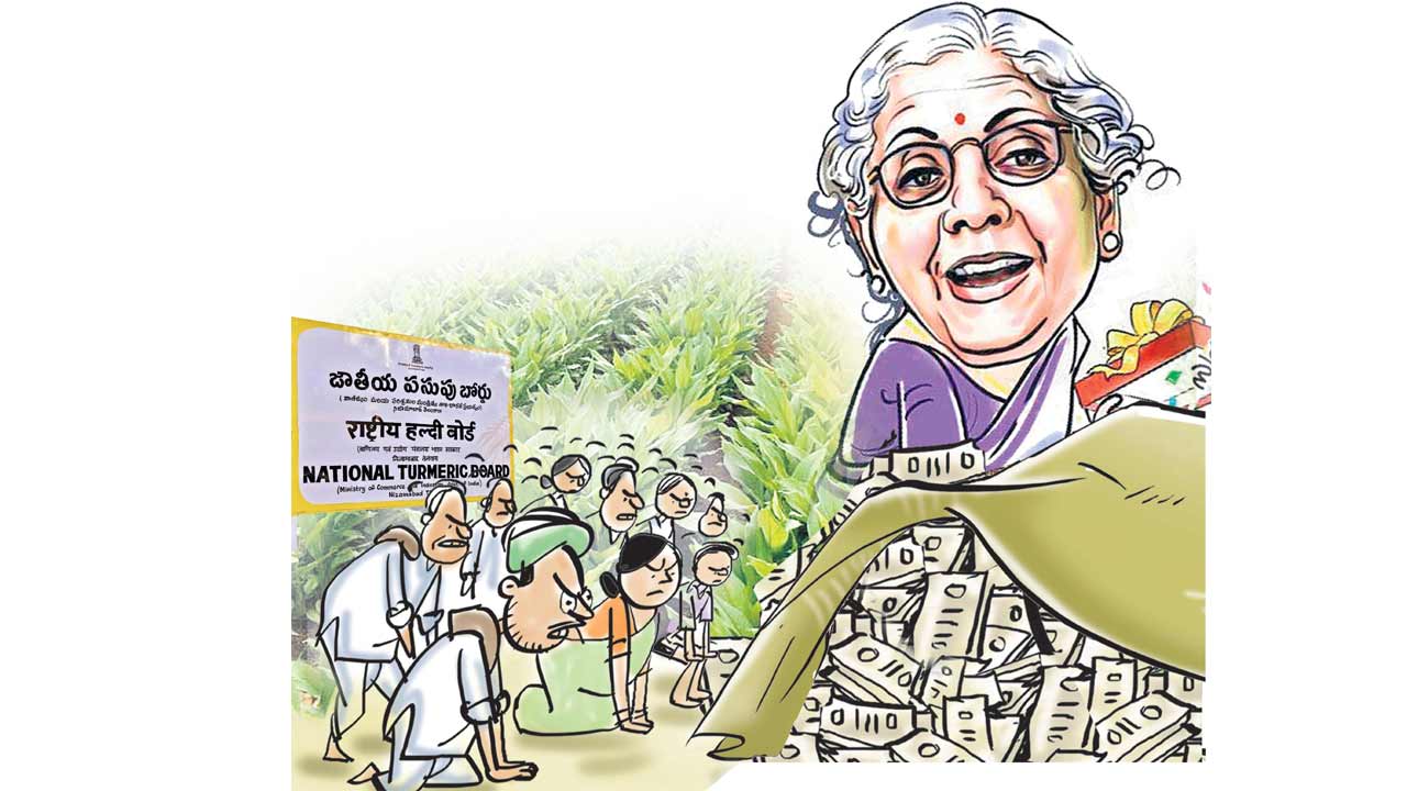 నిరాశ పర్చిన నిర్మలమ్మ