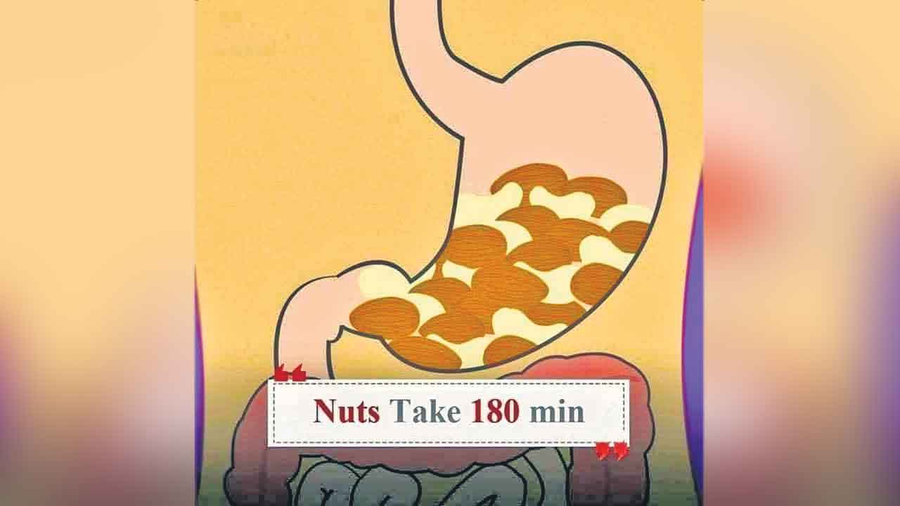 Nuts