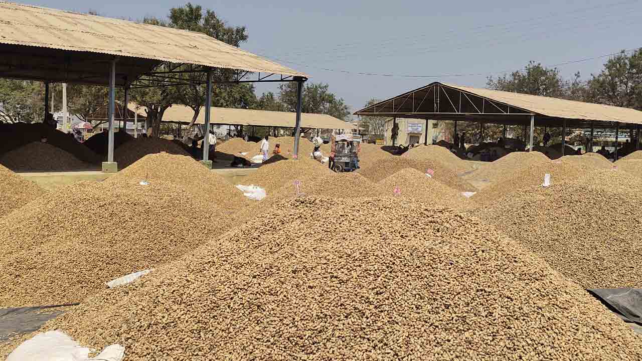 నవాబ్‌పేట మార్కెట్‌కు పోటెత్తిన వేరుశనగ