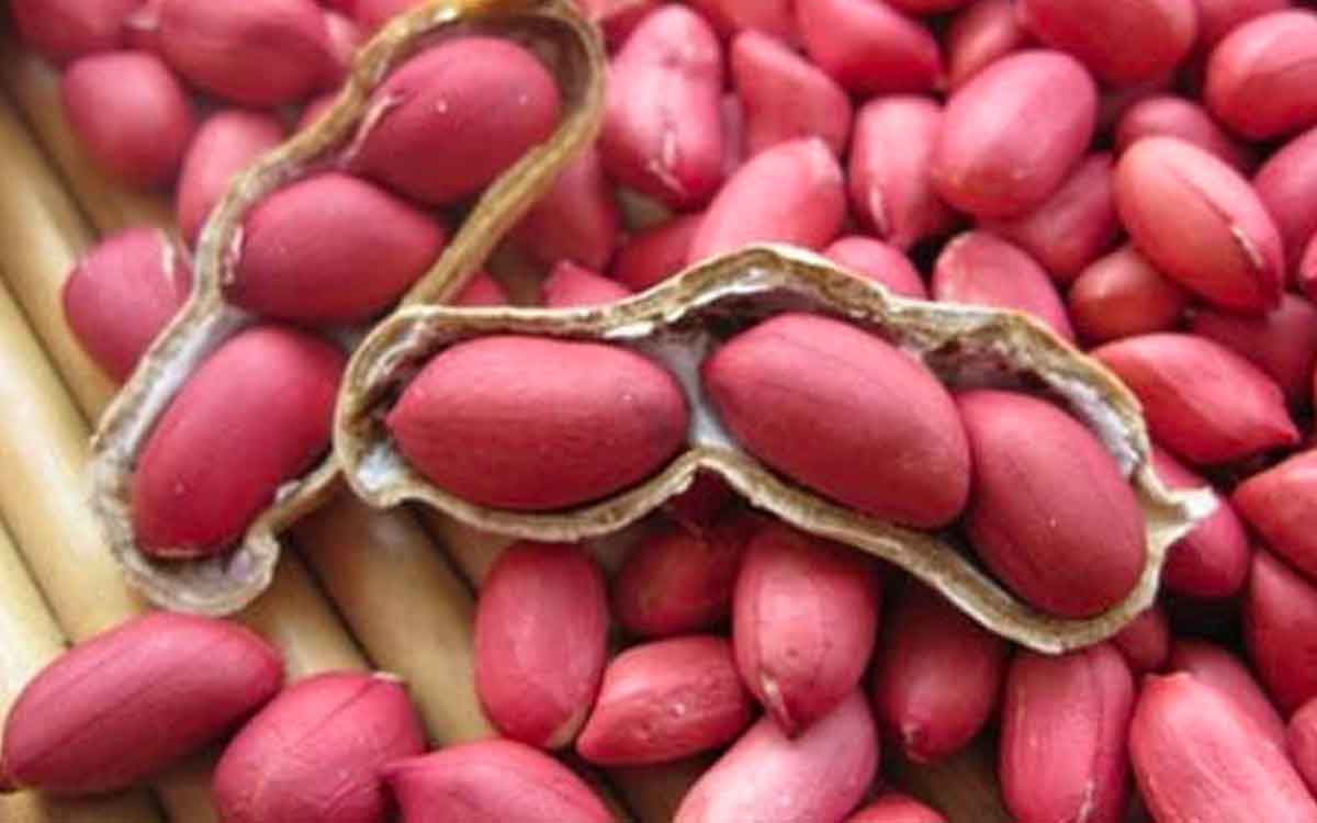 Peanuts With Skin | ప‌ల్లీల‌ను పొట్టుతో తినాలా..? పొట్టు తీసేసి తినాలా..? ఎలా తింటే మంచిది..?