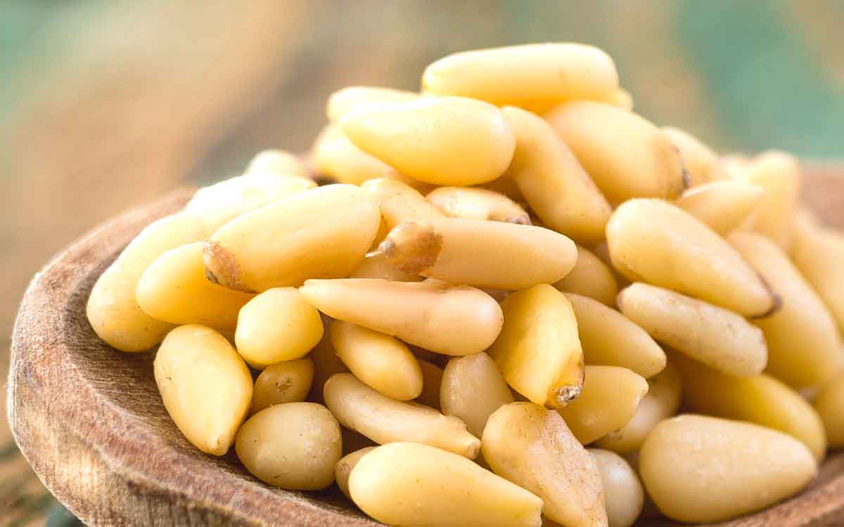 Pine Nuts Benefits | బాదం, జీడిప‌ప్పు క‌న్నా ఎంతో శ‌క్తిని ఇచ్చే న‌ట్స్ ఇవి.. రోజూ తింటే ఎన్నో లాభాలు..!