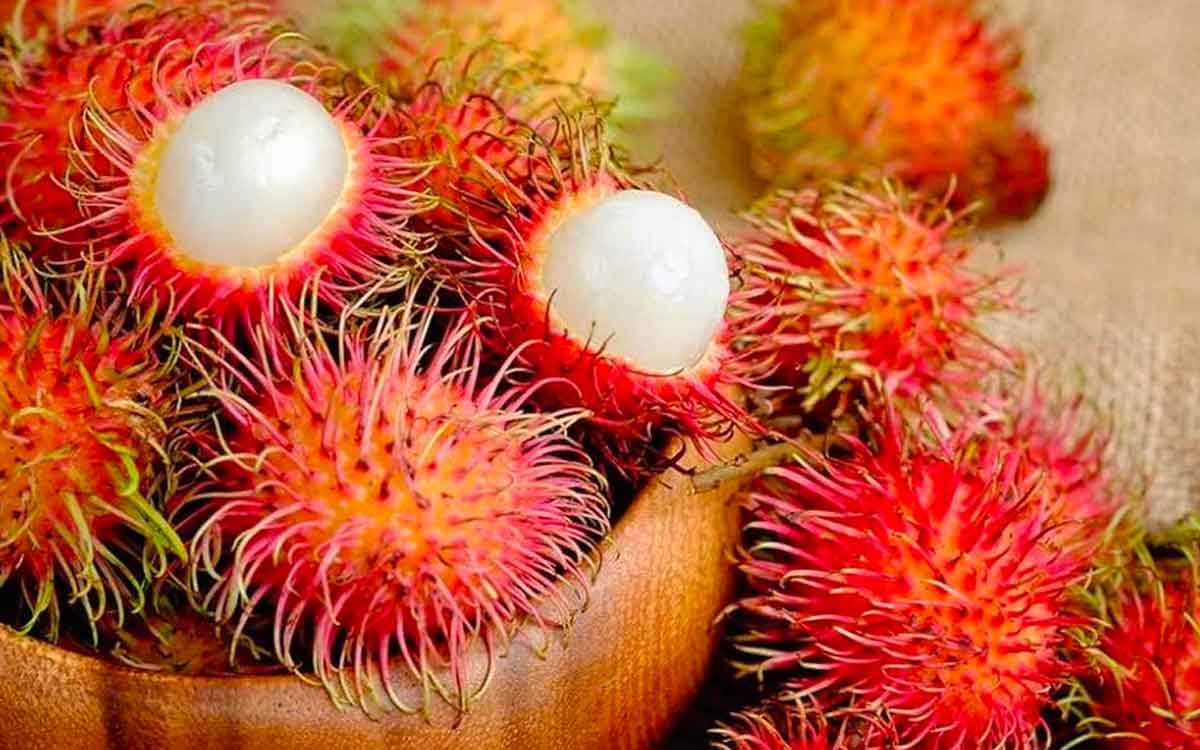 Rambutan Fruits | ఈ పండ్లు మీకు ఎక్క‌డ క‌నిపించినా స‌రే విడిచిపెట్ట‌కుండా తెచ్చుకుని తినండి.. ఎందుకంటే..?
