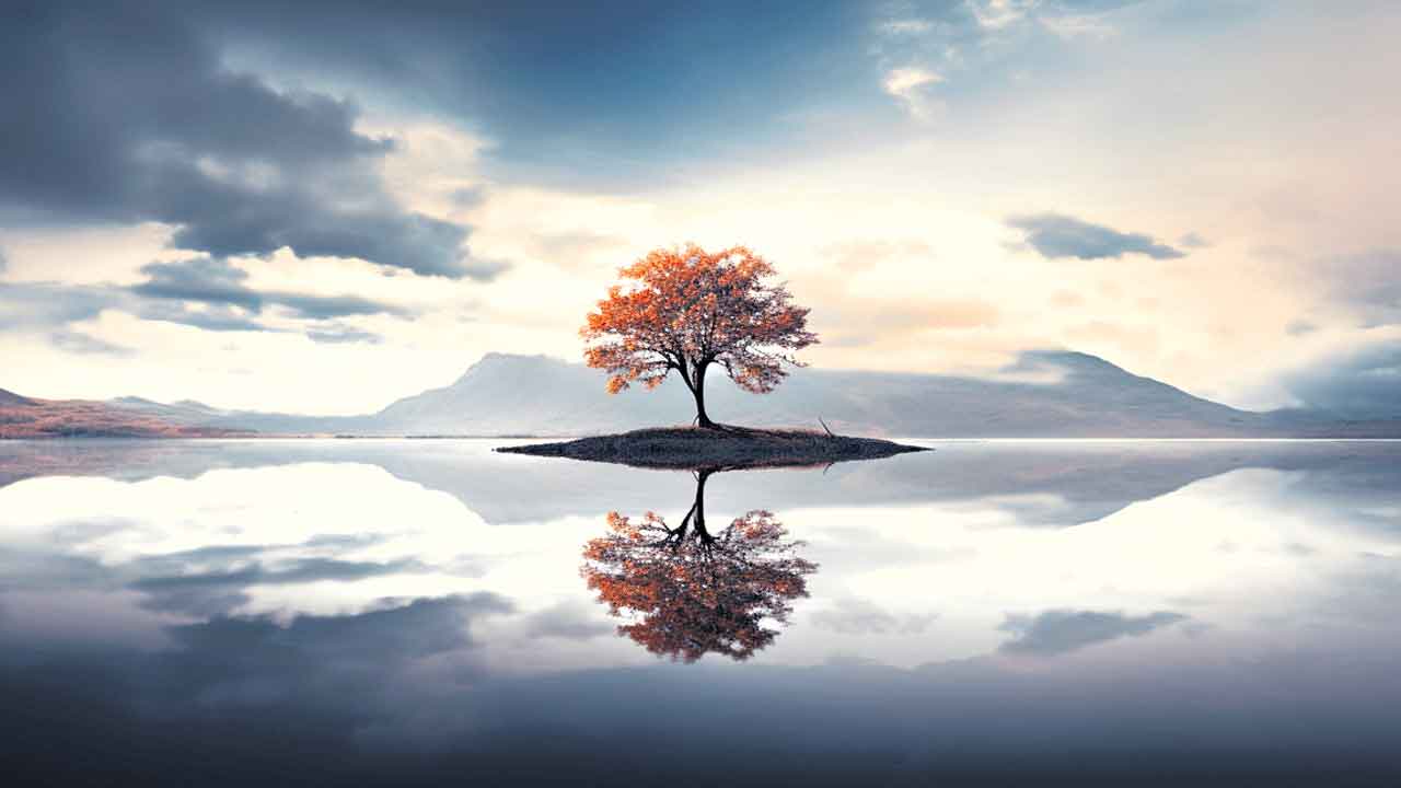 Reflection Photography 3