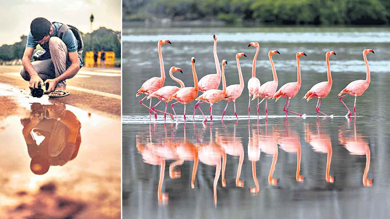 Reflection Photography | ప్రతిబింబాలతో మాయ.. మొబైల్‌ ఫోన్‌తో రిఫ్లెక్షన్‌ ఫొటోగ్రఫీలో అద్భుతాలు చేసేయండిలా..!