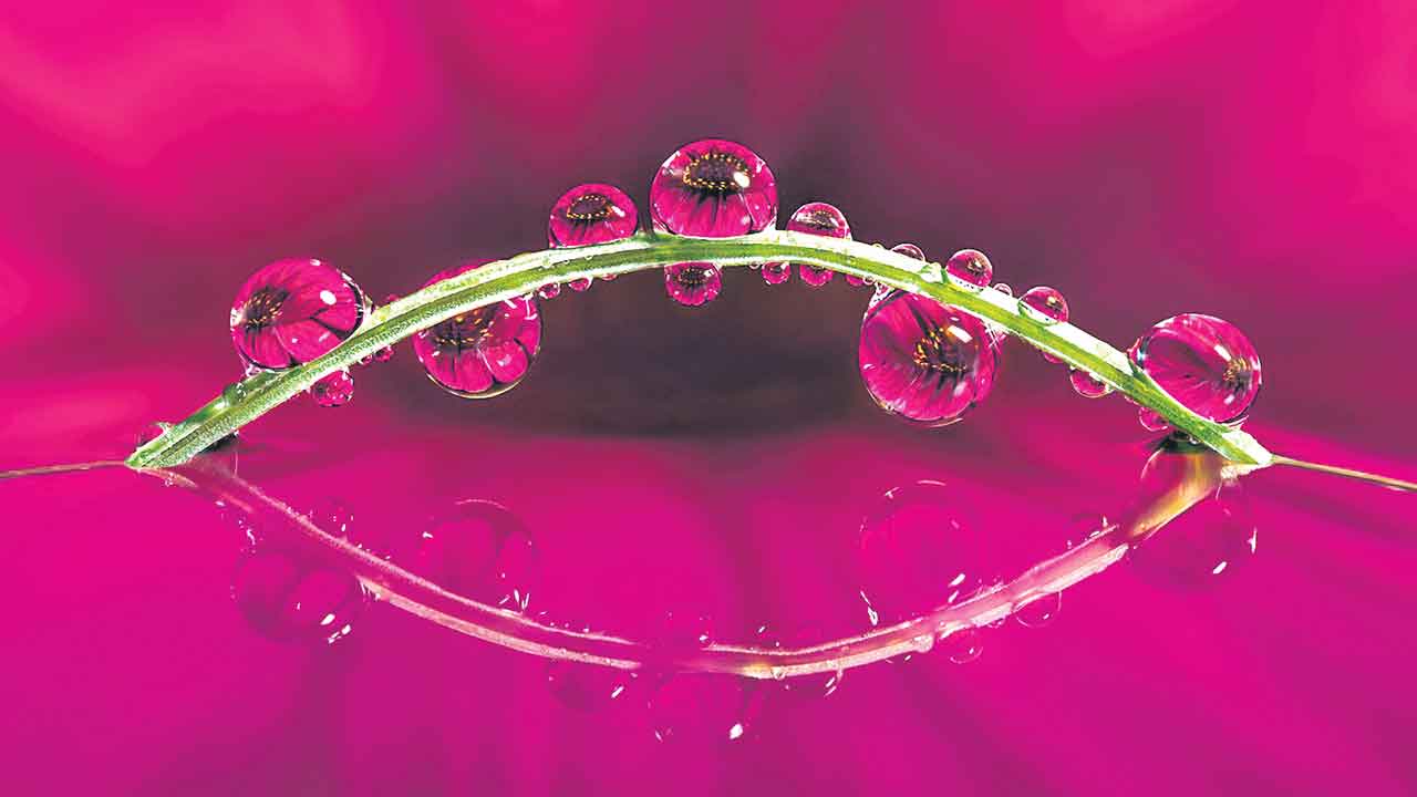 రిఫ్రాక్షన్‌ మాయ..