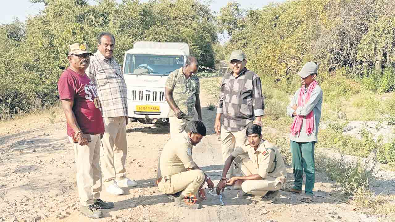 కుందారంలో పెద్దపులి సంచారం