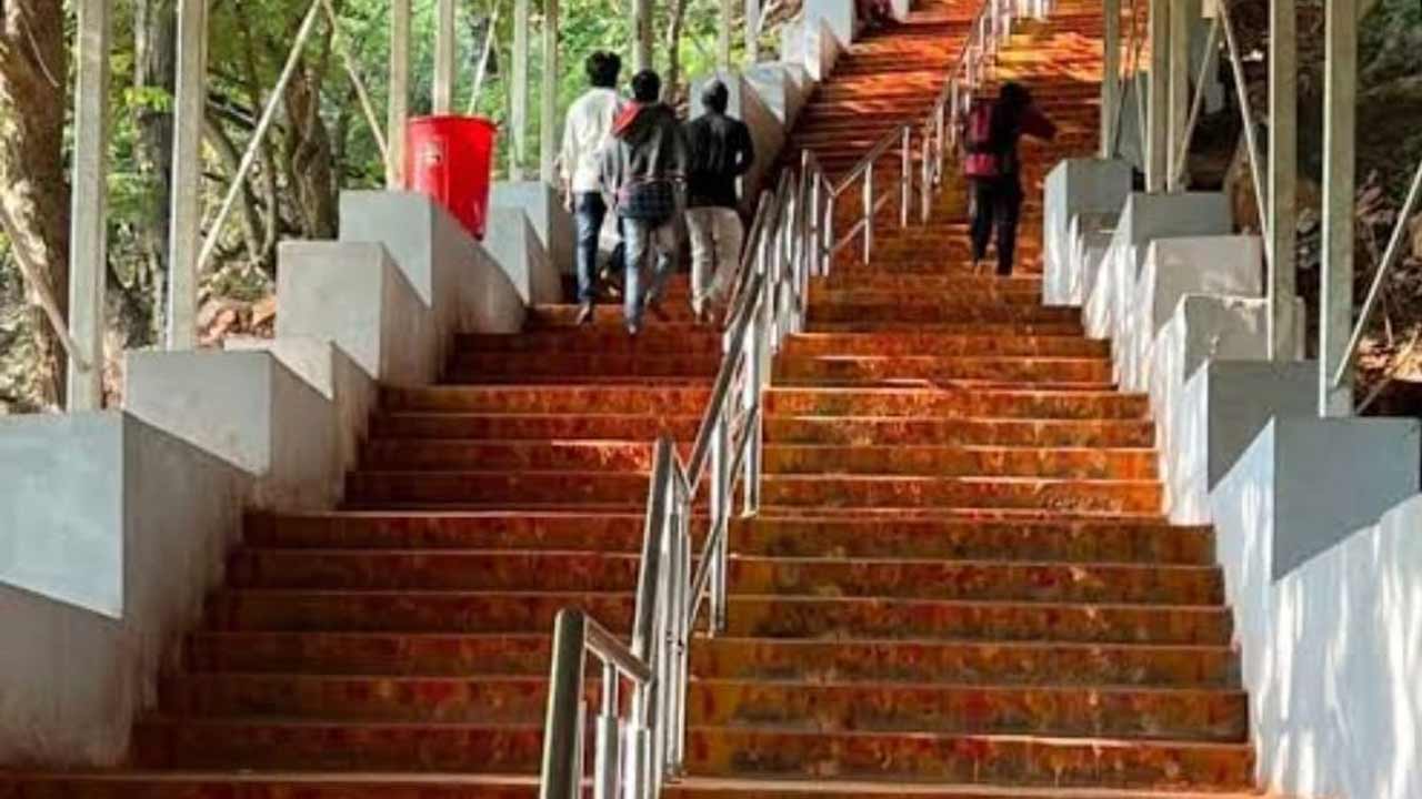 Tirumala | తిరుమలలో చిరుత సంచారం.. కాలినడక వెళ్లే భక్తులకు టీటీడీ కొత్త రూల్స్‌!