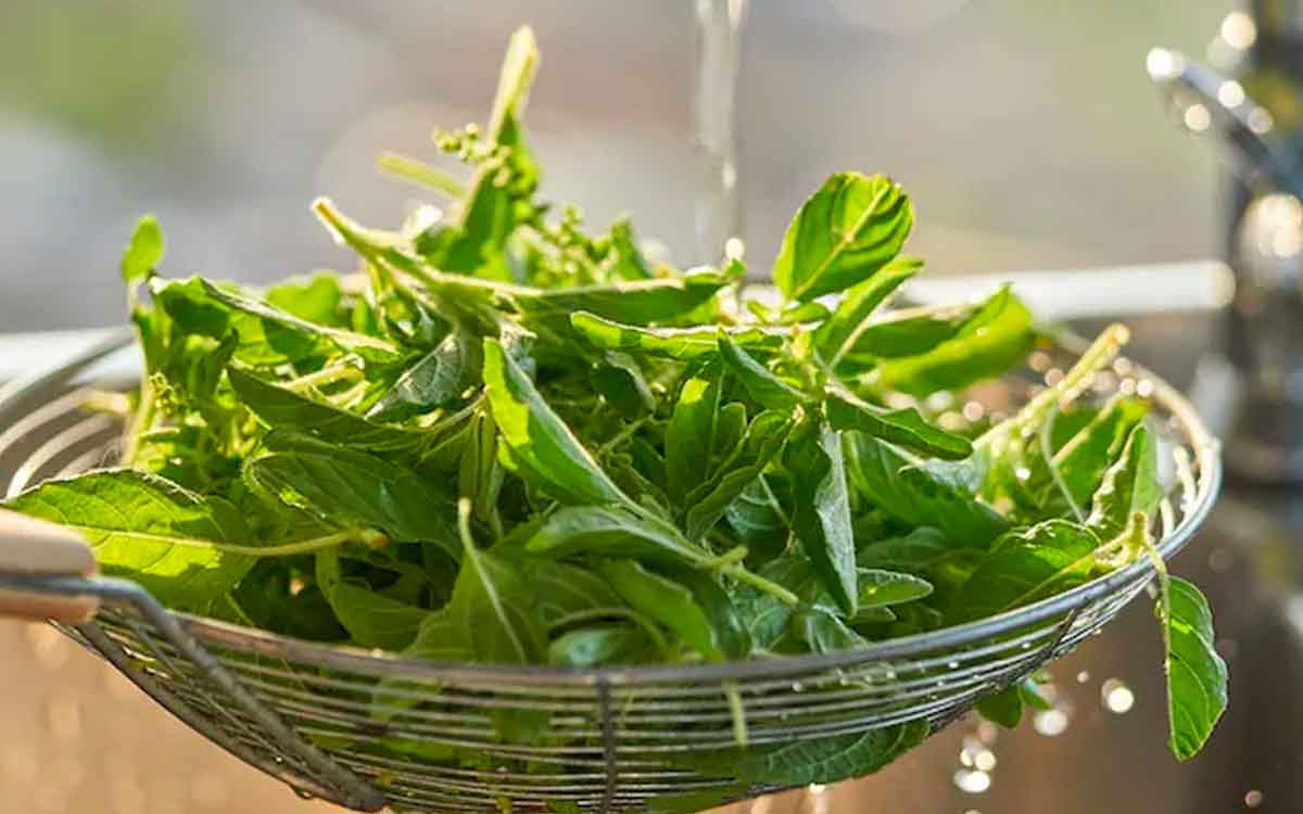 Cancer Preventing Foods | ఇంట్లో ఉండే ఈ 7 ఆహారాల‌ను తినండి.. క్యాన్స‌ర్ అన్న మాటే వినిపించ‌దు..!