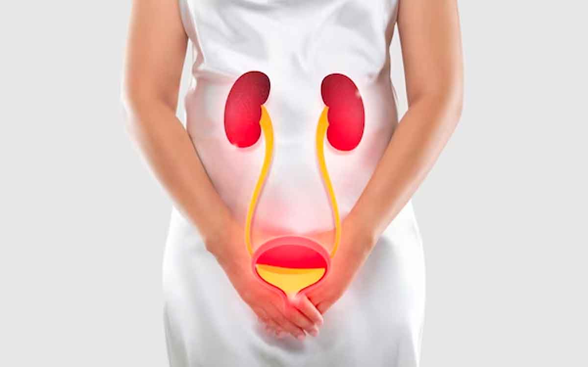 UTI Home Remedies | మూత్రాశ‌య ఇన్‌ఫెక్ష‌న్ వ‌చ్చిందా..? ఈ ఇంటి చిట్కాల‌ను పాటిస్తే త్వ‌ర‌గా స‌మ‌స్య త‌గ్గుతుంది..!