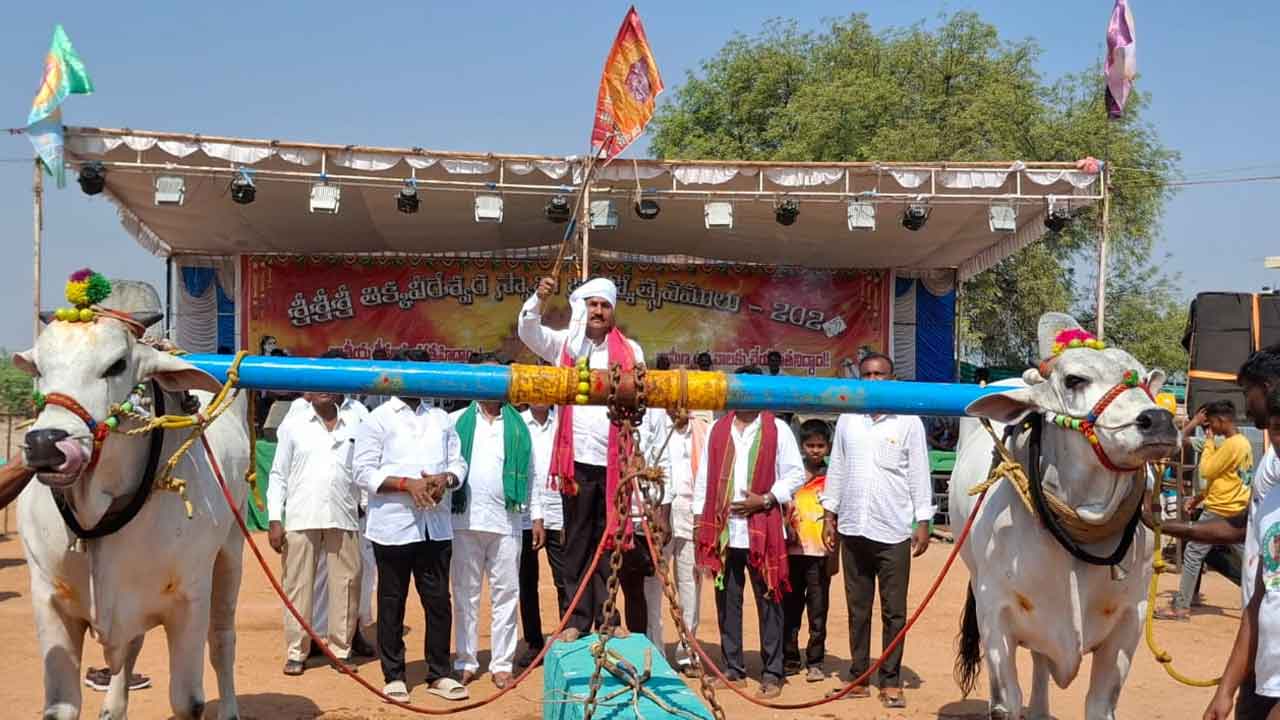 Gadwala | జోరుగా.. ఉషారుగా పశుబల ప్రదర్శన పోటీలు