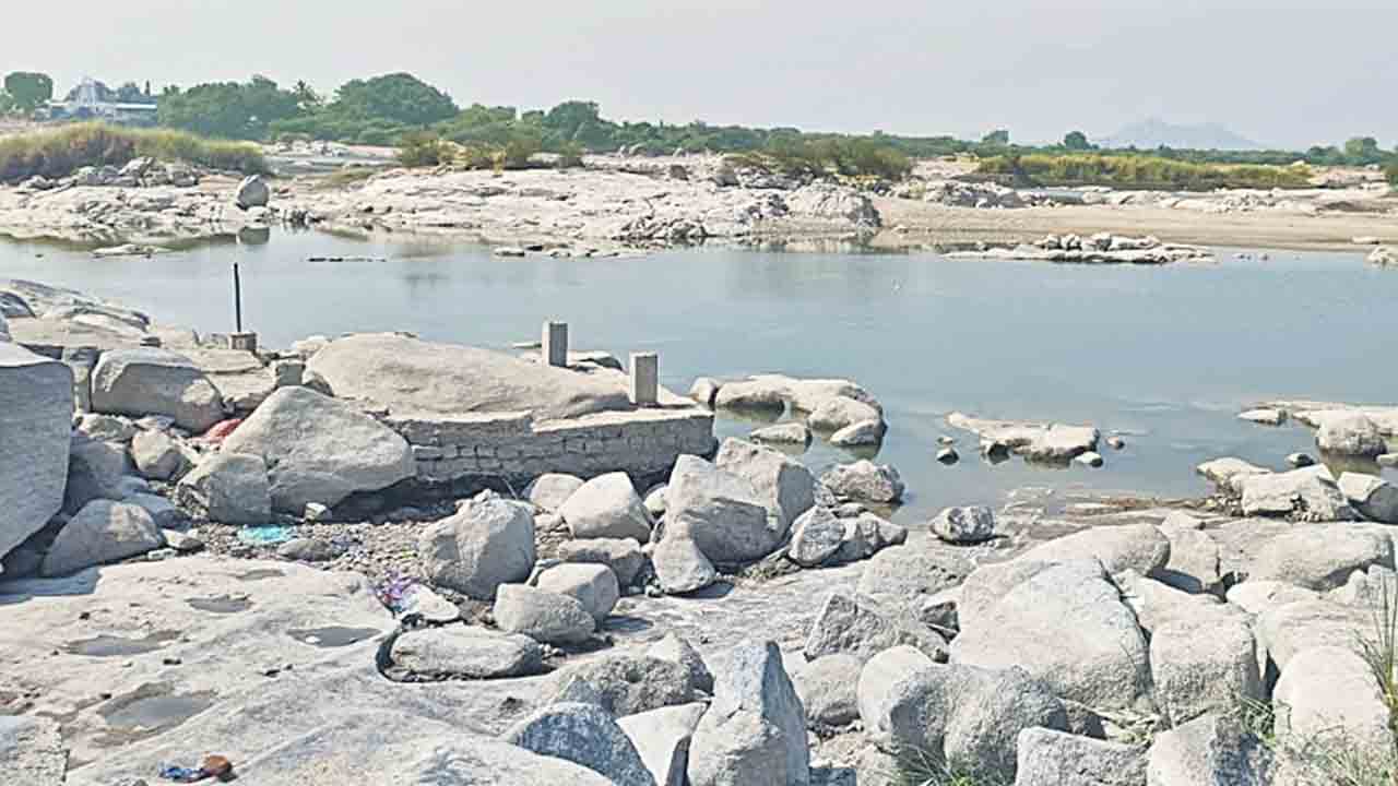 Krishna River | కళతప్పిన కృష్ణమ్మ.. రాళ్లు, రప్పలు తేలి బోసిపోయిన జీవనది