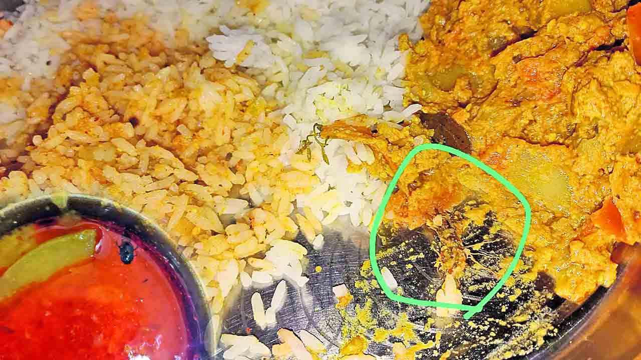 కేయూలో కర్రీలో పురుగులు