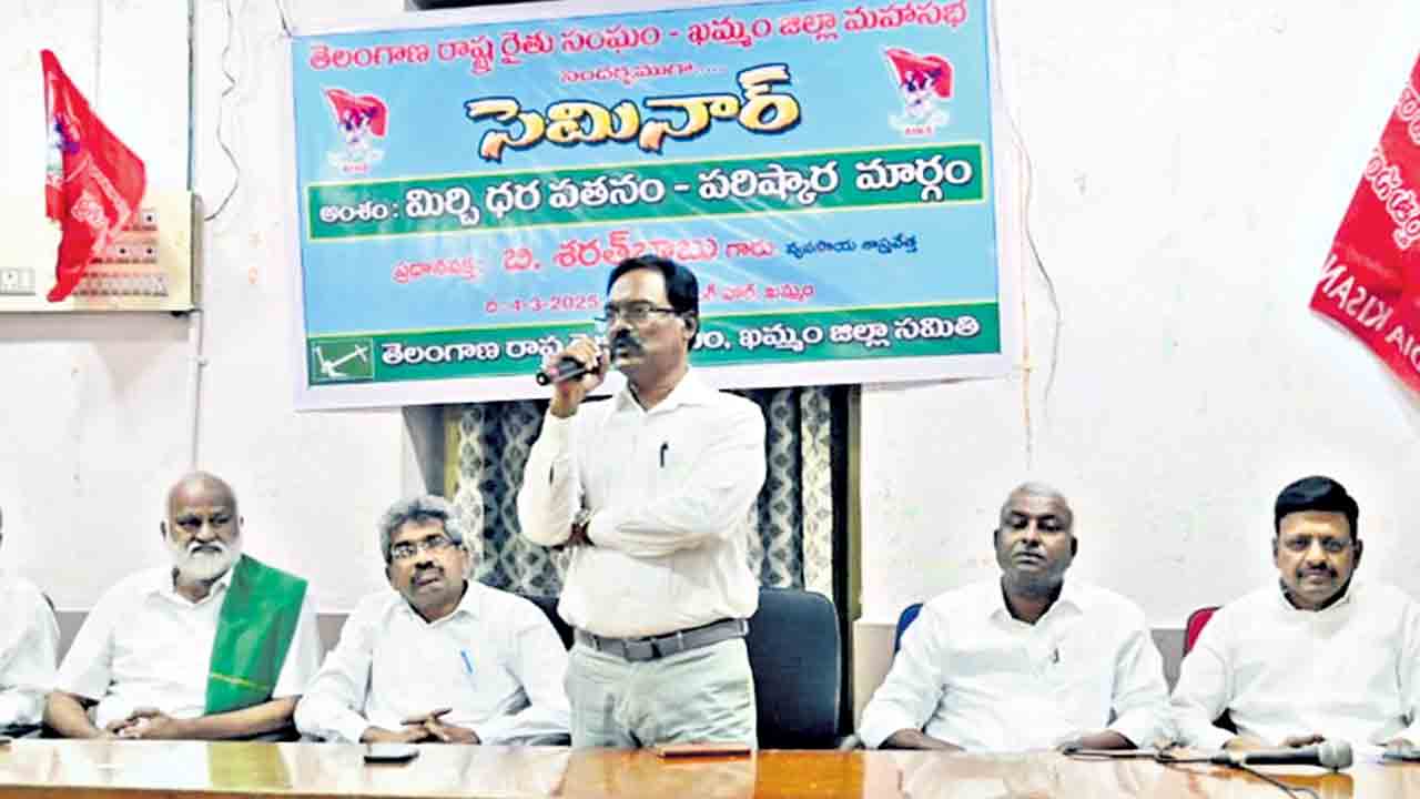 పాలకుల వల్లే మిర్చి ధరల పతనం