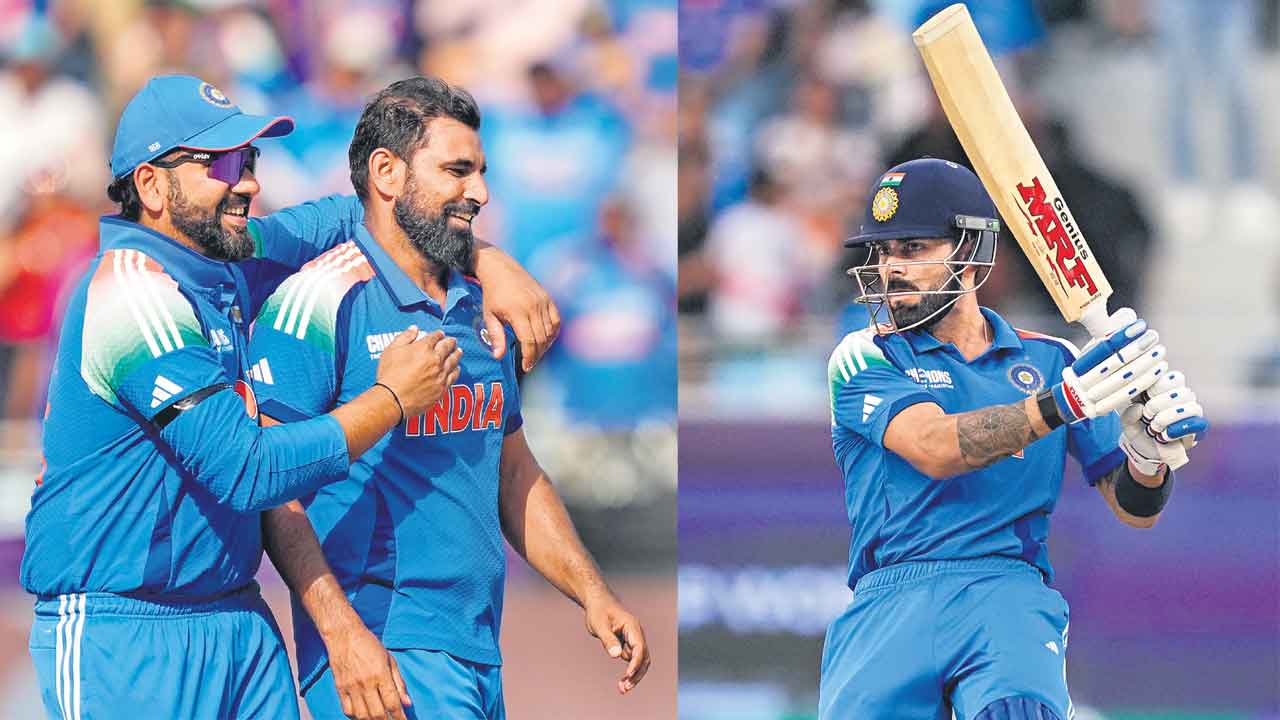 కంగారూలను కొట్టేసి