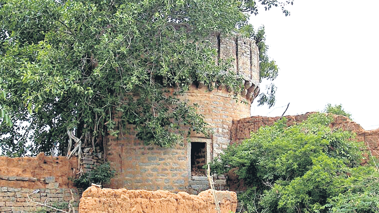 ఫ్యూడల్‌ రెడ్లు కాంప్రడార్‌ క్లాసా?