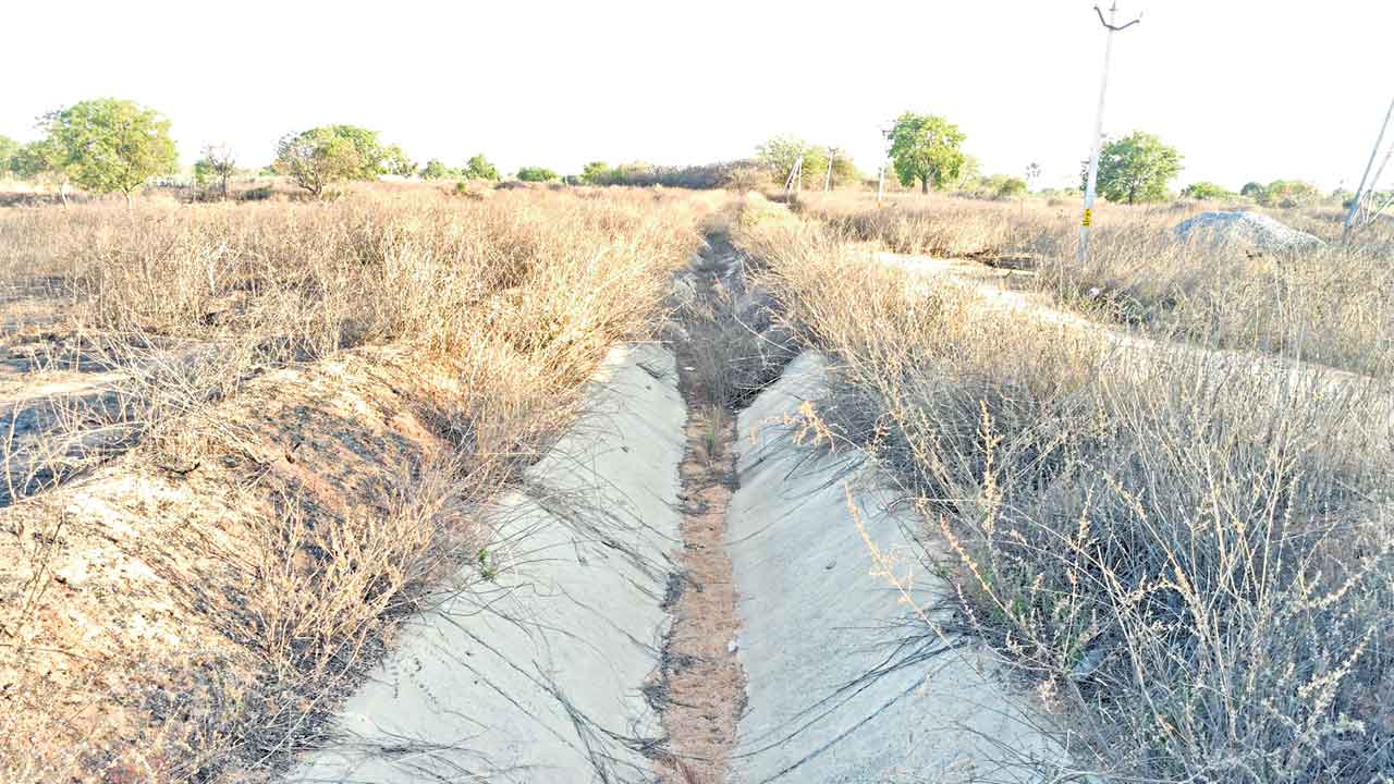 Devadula Project | పంపింగ్‌ వ్యవస్థ అస్తవ్యస్తం.. దేవాదుల ఆయకట్టులో ఎండుతున్న పంటలు 