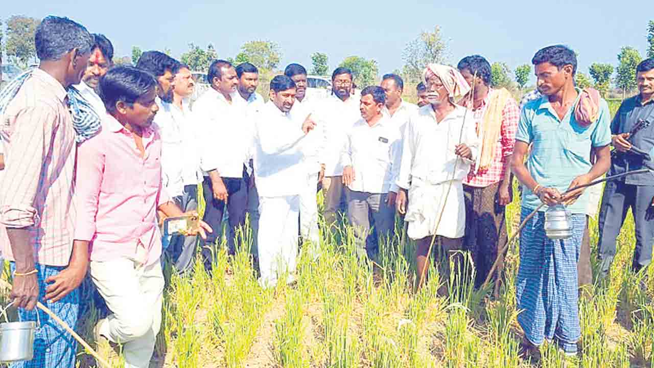 చేతులు జోడించి వేడుకుంటున్నా.. నీళ్లిచ్చి పంటలను కాపాడండి