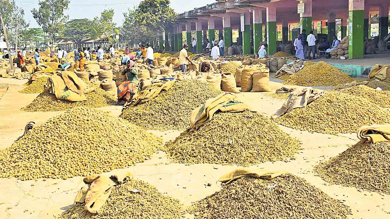 పసుపు ధరల్లో దళారీ దందా!