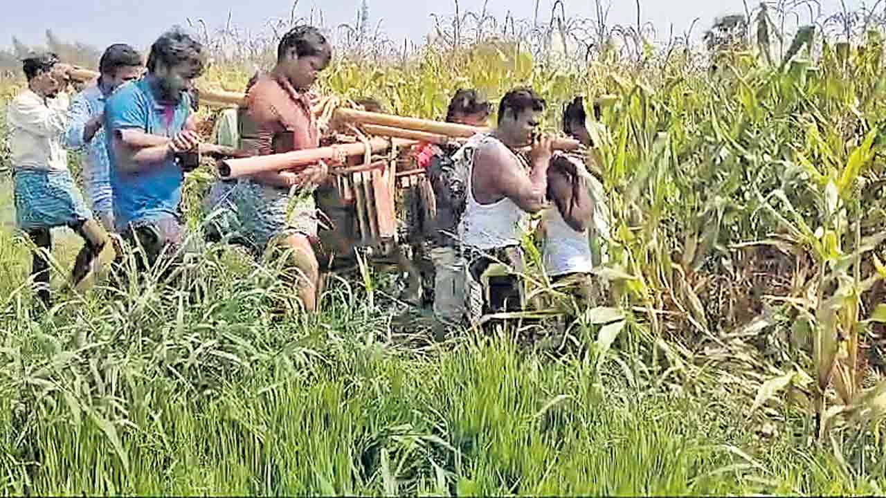 ట్రాన్స్‌ఫార్మర్‌ కష్టాలు