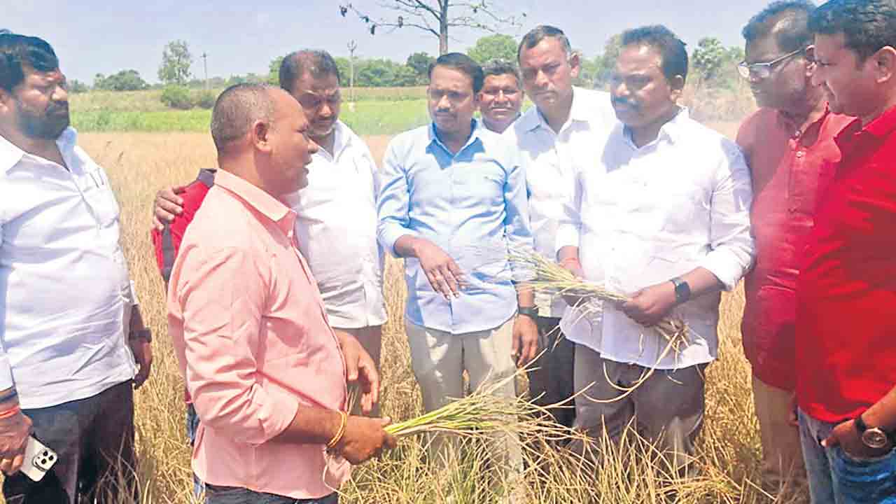 రైతుల గోస తెలుస్తలేదా?