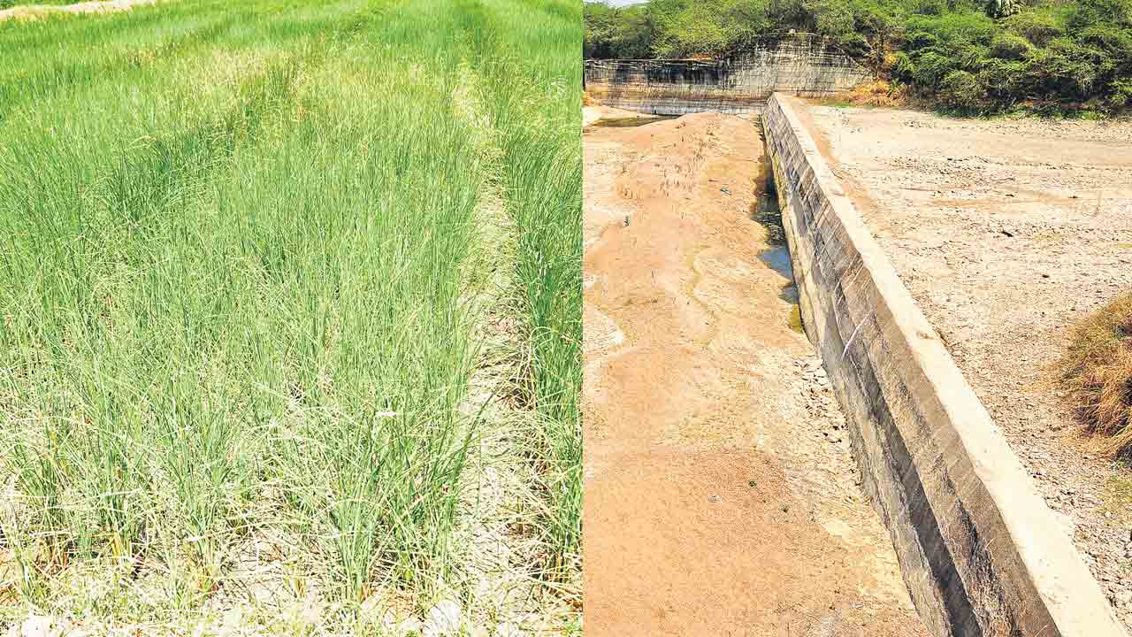 చివరి తడి ఎలా?