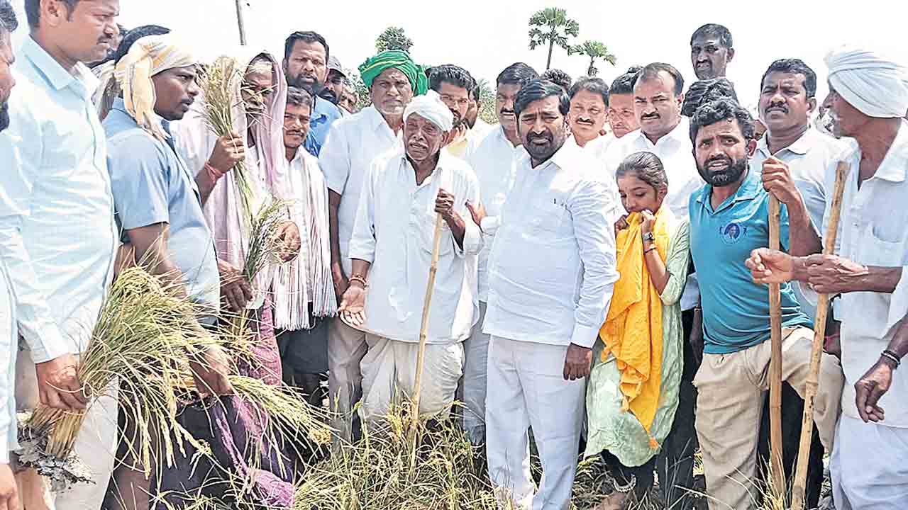 రైతుల ఉసురు తీస్తూ రాక్షసానందం