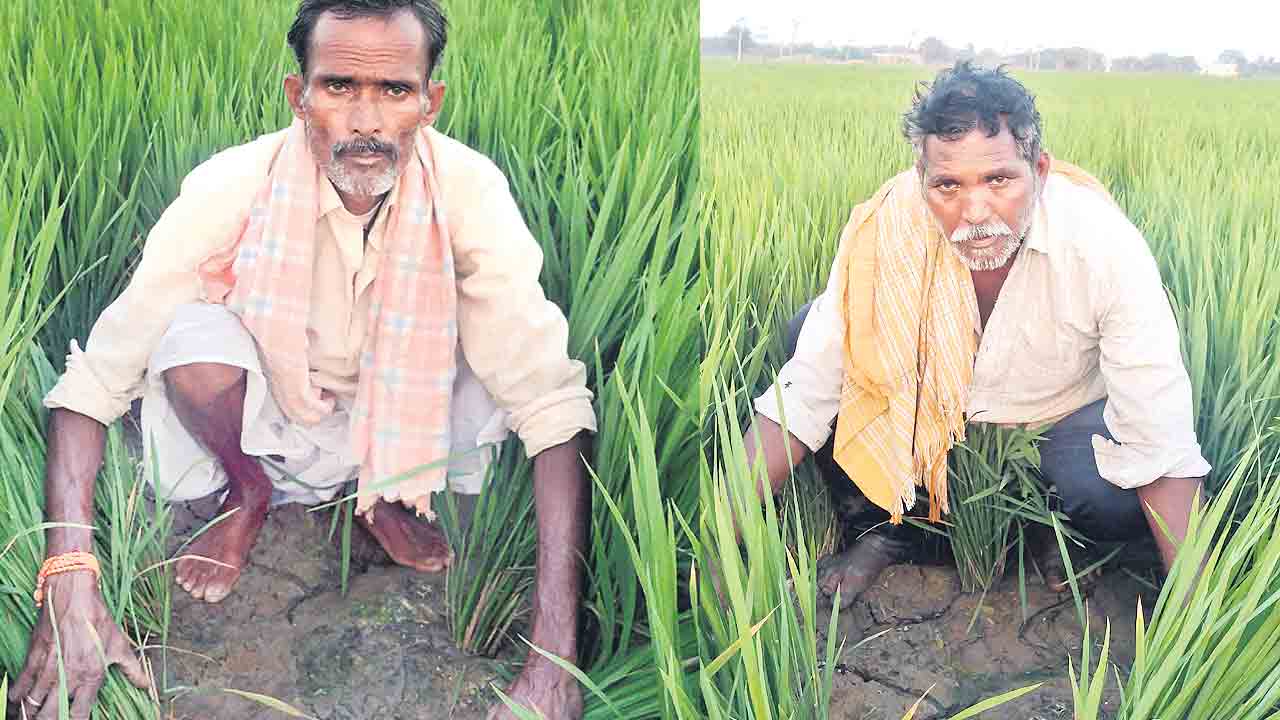 అందని నీళ్లు.. ఆగని కన్నీళ్లు