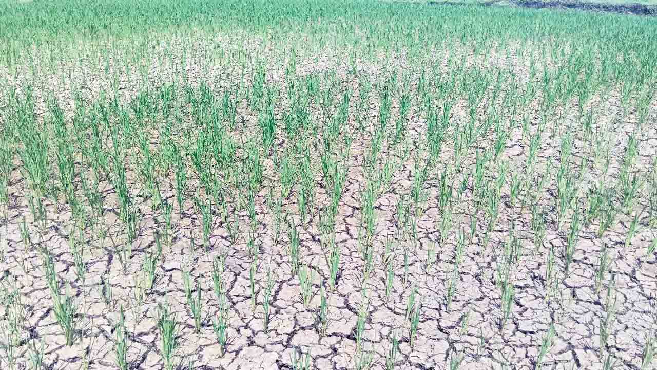 చివరికి కన్నీరు