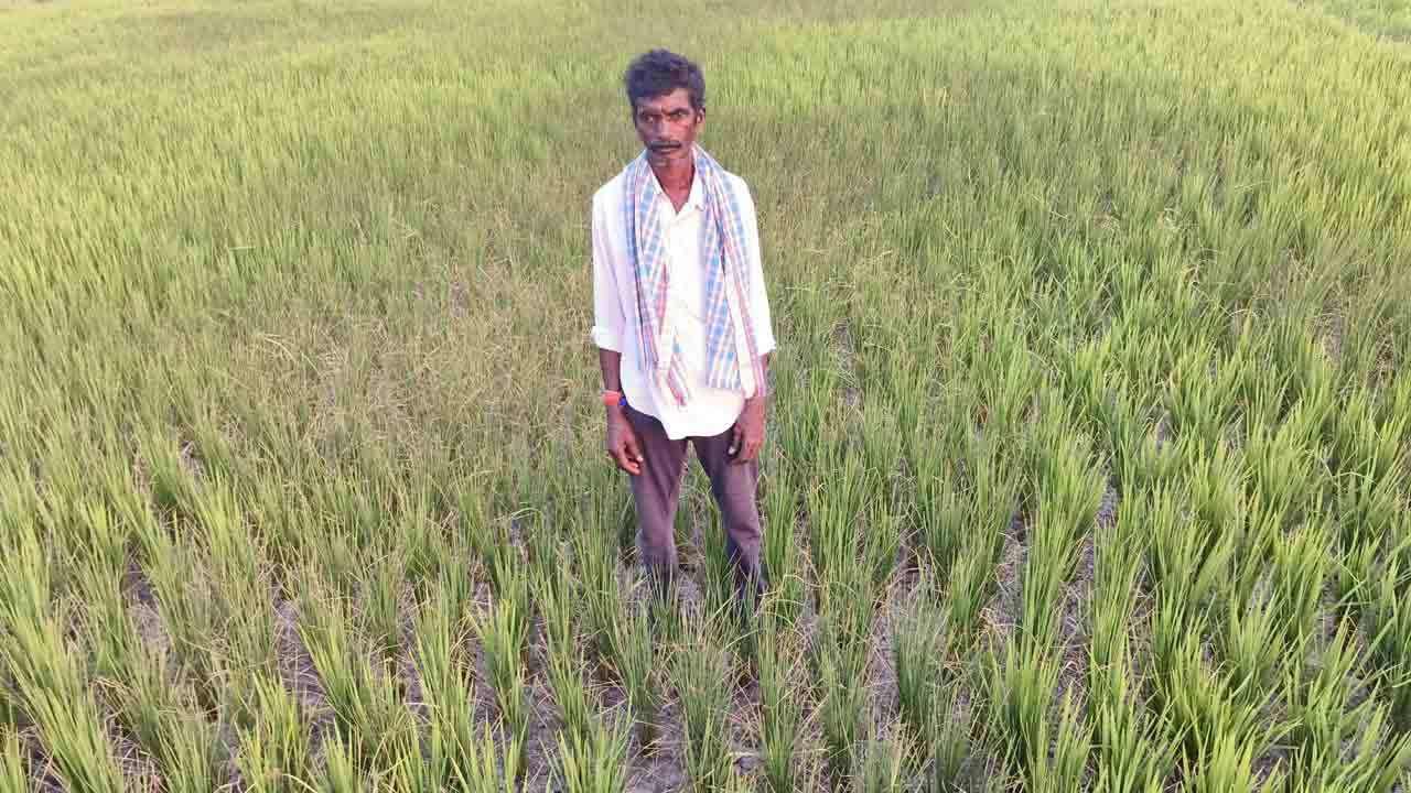 ఆశలు.. ఆవిరే..