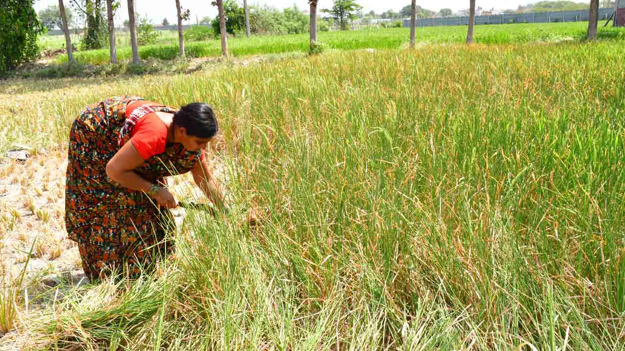 రైతు కంట కన్నీరు..