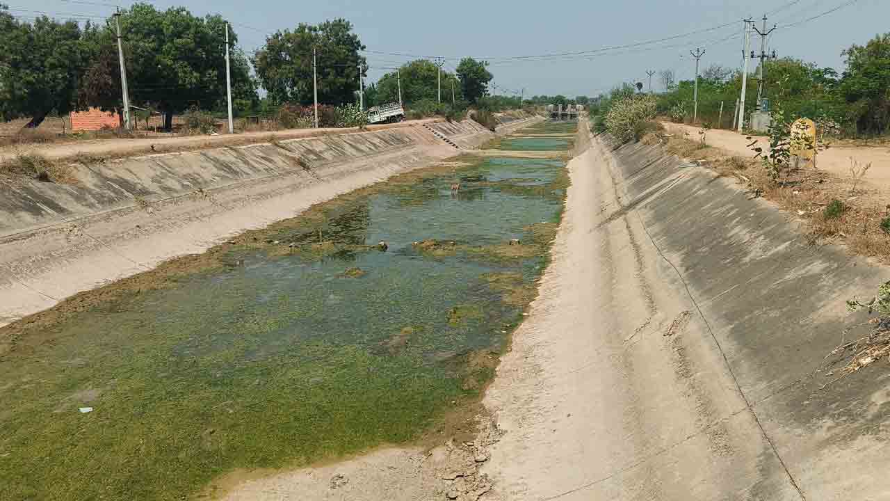 వారబంధితో పంటలు ప్రశ్నార్థకం?